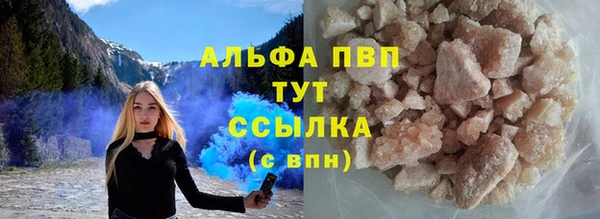 гидра Володарск