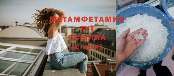 гидра Володарск